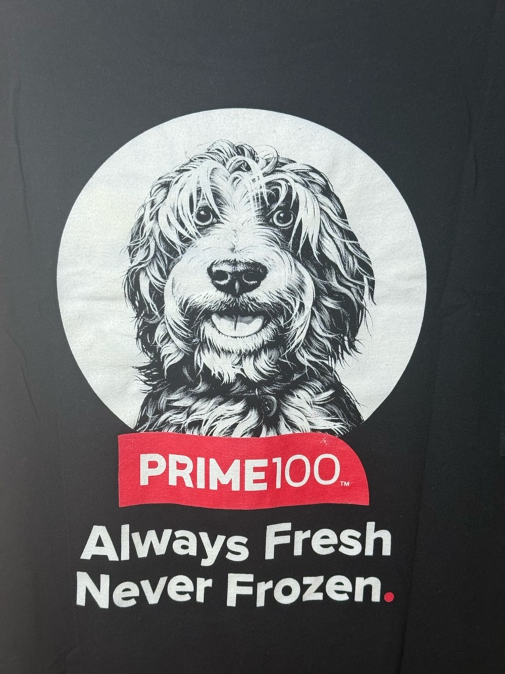 PRIME 100 Black Graphic Tee - Men's Short Sleeve Shirt - Picture 7 of 7